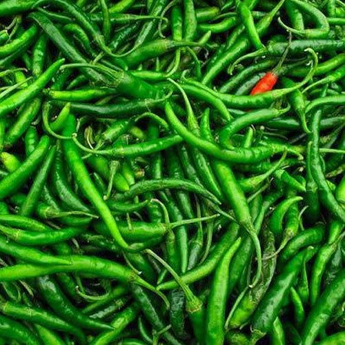 green-chilli_6e598fec