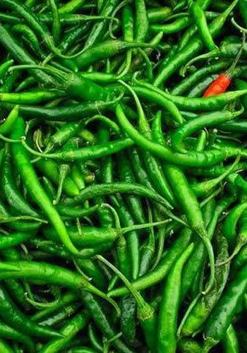 green-chilli_6e598fec